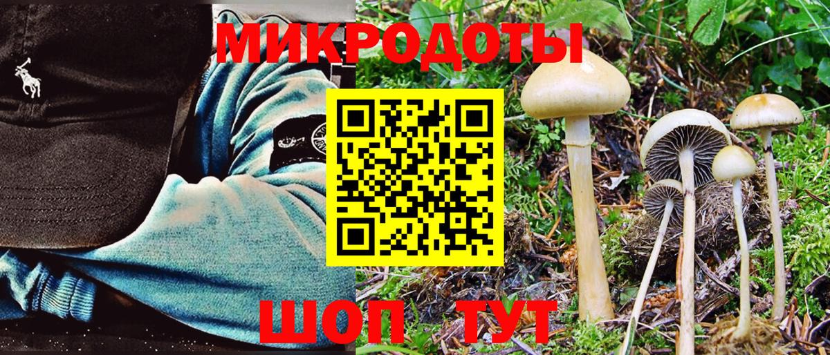 Псилоцибиновые грибы Magic Shrooms  Псилоцибиновые грибы прущие грибы  Вход с VPN  Кунгур 